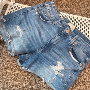 Universal Thread Blue Jean Shorts